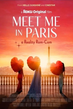 watch Meet Me in Paris Movie online free in hd on Red Stitch