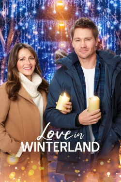 watch Love in Winterland Movie online free in hd on Red Stitch