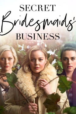 watch Secret Bridesmaids' Business Movie online free in hd on Red Stitch