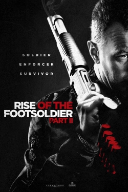 watch Rise of the Footsoldier Part II Movie online free in hd on Red Stitch