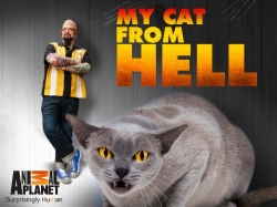 watch My Cat from Hell Movie online free in hd on Red Stitch