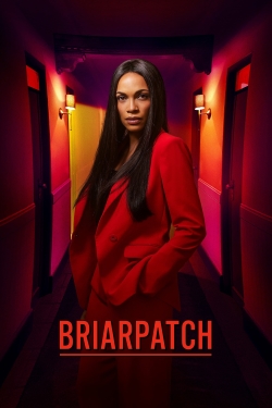 watch Briarpatch Movie online free in hd on Red Stitch