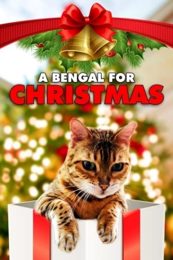 watch A Bengal for Christmas Movie online free in hd on Red Stitch