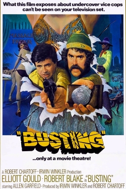 watch Busting Movie online free in hd on Red Stitch