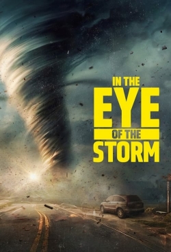 watch In the Eye of the Storm Movie online free in hd on Red Stitch