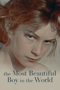 watch The Most Beautiful Boy in the World Movie online free in hd on Red Stitch