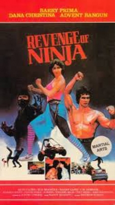 watch Revenge of the Ninja Movie online free in hd on Red Stitch