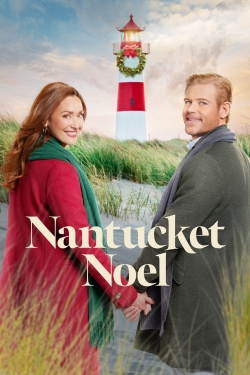 watch Nantucket Noel Movie online free in hd on Red Stitch