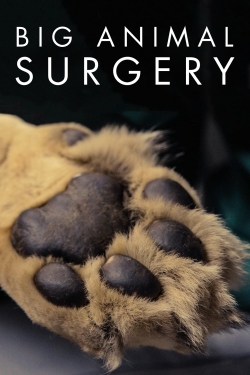 watch Big Animal Surgery Movie online free in hd on Red Stitch