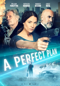 watch A Perfect Plan Movie online free in hd on Red Stitch