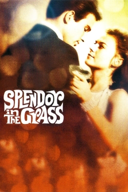 watch Splendor in the Grass Movie online free in hd on Red Stitch