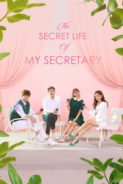 watch The Secret Life of My Secretary Movie online free in hd on Red Stitch