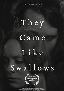 watch They Came Like Swallows Movie online free in hd on Red Stitch