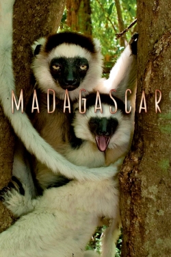 watch Madagascar Movie online free in hd on Red Stitch