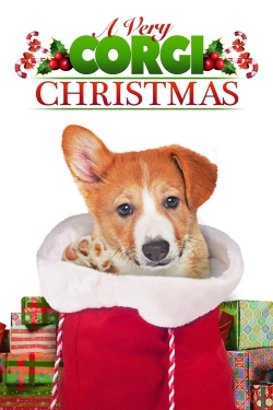 watch A Very Corgi Christmas Movie online free in hd on Red Stitch