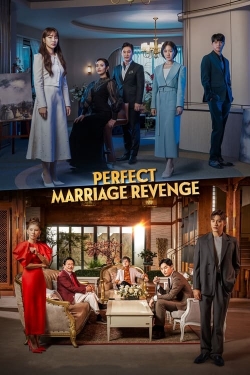 watch Perfect Marriage Revenge Movie online free in hd on Red Stitch