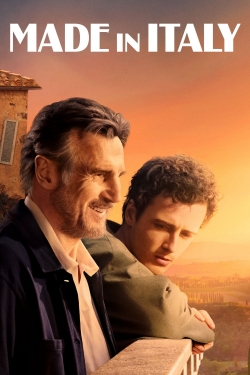 watch Made in Italy Movie online free in hd on Red Stitch