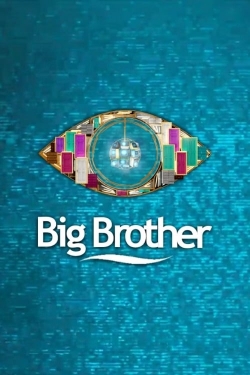 watch Big Brother Movie online free in hd on Red Stitch