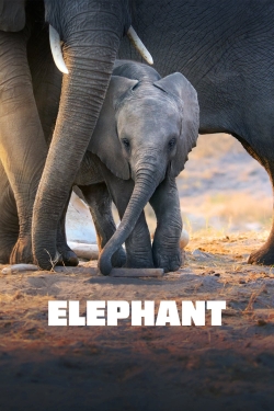 watch Elephant Movie online free in hd on Red Stitch