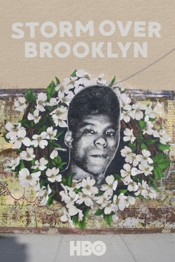 watch Yusuf Hawkins: Storm Over Brooklyn Movie online free in hd on Red Stitch