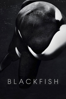 watch Blackfish Movie online free in hd on Red Stitch