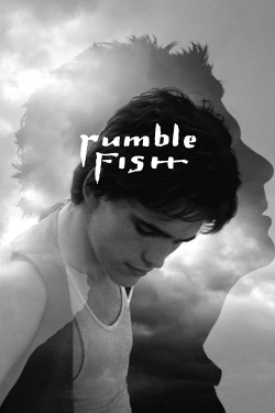 watch Rumble Fish Movie online free in hd on Red Stitch