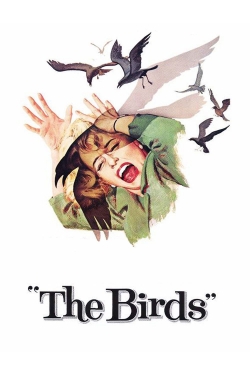 watch The Birds Movie online free in hd on Red Stitch