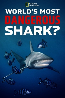 watch World's Most Dangerous Shark? Movie online free in hd on Red Stitch