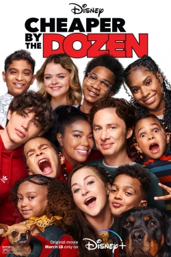 watch Cheaper by the Dozen Movie online free in hd on Red Stitch