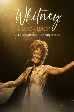 watch Whitney, a Look Back Movie online free in hd on Red Stitch