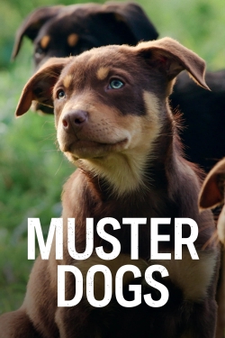 watch Muster Dogs Movie online free in hd on Red Stitch