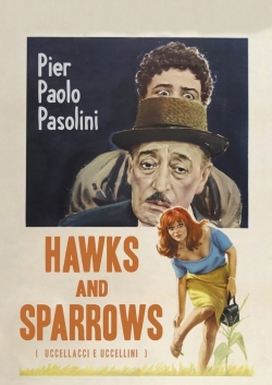 watch Hawks and Sparrows Movie online free in hd on Red Stitch