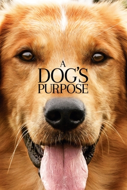 watch A Dog's Purpose Movie online free in hd on Red Stitch