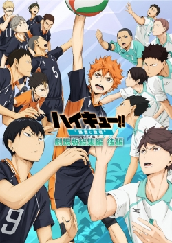watch Haikyuu!! Movie 2: Winners and Losers Movie online free in hd on Red Stitch