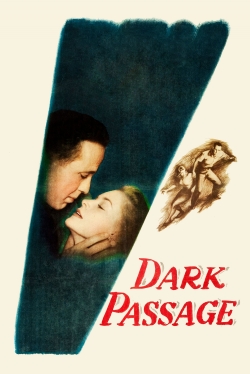 watch Dark Passage Movie online free in hd on Red Stitch