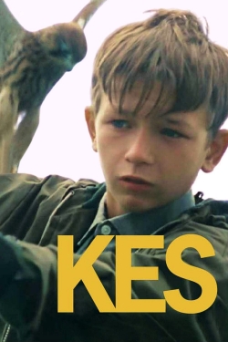 watch Kes Movie online free in hd on Red Stitch