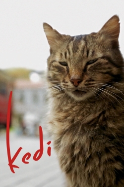 watch Kedi Movie online free in hd on Red Stitch