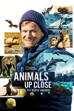 watch Animals Up Close with Bertie Gregory Movie online free in hd on Red Stitch