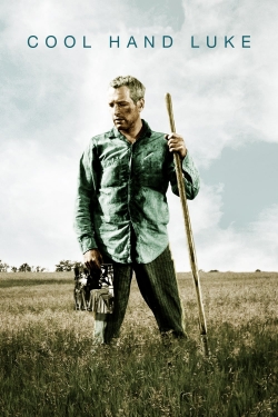 watch Cool Hand Luke Movie online free in hd on Red Stitch