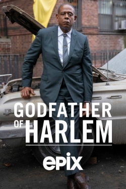 watch Godfather of Harlem Movie online free in hd on Red Stitch