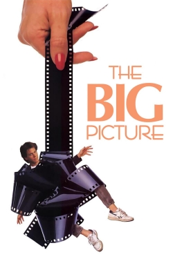 watch The Big Picture Movie online free in hd on Red Stitch