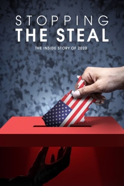 watch Stopping the Steal Movie online free in hd on Red Stitch