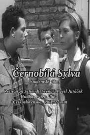 watch Black and White Sylva Movie online free in hd on Red Stitch