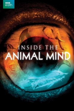 watch Inside the Animal Mind Movie online free in hd on Red Stitch