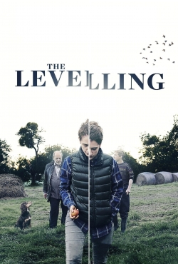 watch The Levelling Movie online free in hd on Red Stitch