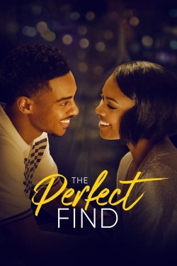 watch The Perfect Find Movie online free in hd on Red Stitch