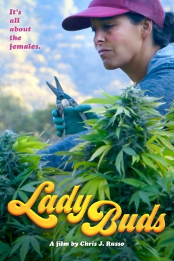 watch Lady Buds Movie online free in hd on Red Stitch