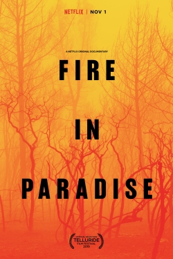 watch Fire in Paradise Movie online free in hd on Red Stitch