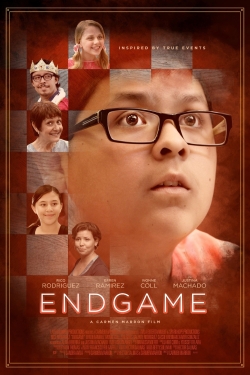 watch Endgame Movie online free in hd on Red Stitch