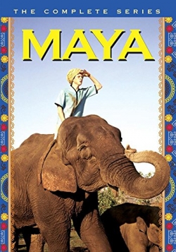 watch Maya Movie online free in hd on Red Stitch